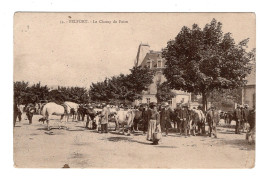 90 BELFORT, Le Champ De Foire. - Belfort - Ville