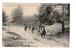 60 Chasse En Forêt D'ERMENONVILLE, Un Passage Sous Bois. - Autres & Non Classés