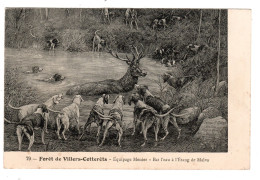 60 Forêt De VILLERS COTTERÊTS, Équipage MENIER, Bat L'eau à L'étang De Malva. - Autres & Non Classés