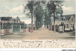 AQ#BFP1-BELGIQUE-0056 - CARLSBOURG - établissement De Carlsbourg - L'avenue - Prachtstraßen, Boulevards