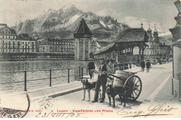 SUISSE #FG56183 LUZERN VOITURE A CHIENS ATTELAGE KAPELLBRUCKE UND PILATUS - Luzern