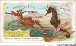 AQ#BFP3-CHROMOS-0943 - CHOCOLAT D'AIGUEBELLE - Le Monde Sous Marin - Classe Des Poissons - Aiguebelle