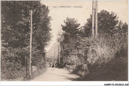 AQ#BFP2-50-0413 - CAROLLES - L'arrivée - Other & Unclassified