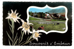 05 EMBRUN, Souvenir. 2 SCAN. - Embrun