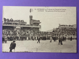 Belgique     OSTENDE     Les Tribunes Du Champ De Courses     Très Bon état - Oostende