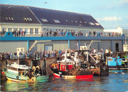 Navigation Sailing Vessels & Boats Themed Postcard Le Guilvinec Fisherman Harbour - Zeilboten