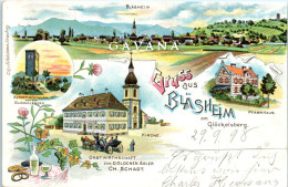 67 Grus Aus BLASHEIM  - Other & Unclassified