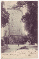 France - 73 - Chambéry - Tour Du Donjon - 6899 - Chambery