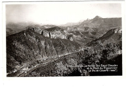 04 DIGNE, Pont Du Pigeonnier. éditeur LA COGOGNE. - Digne