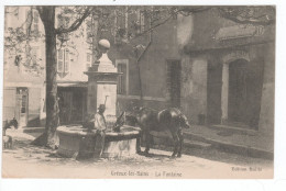 04 GRÉOUX LES BAINS, La Fontaine, Cheval à L'abreuvoir.  - Gréoux-les-Bains