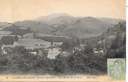 CAMBO LES BAINS  - ( 64 ) -  Les Bords De La Nive - Cambo-les-Bains