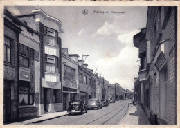 MALDEGEM -   Noordstraat - Maldegem