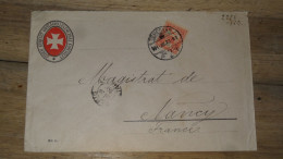 Enveloppe HONGRIE, Temesvar 1923 ......... Boite1 ..... 240424-211 - Storia Postale