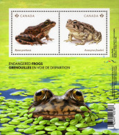 Canada - 2024 - Endangered Frogs - Mint Souvenir Sheet - Ungebraucht