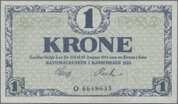 Denmark: Nationalbanken I Kjøbenhavn, 1 Krone 1920, Series O, P.12e, In Perfect - Dinamarca