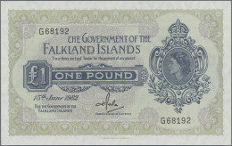 Falkland Islands: The Government Of The Falkland Islands, 1 Pound 15th June 1982 - Isole Falkland