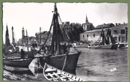 CPSM Format CPA - GARD - LE GRAU DU ROI - VUE DU PORT - AU FONT LE PHARE - Animation, Voiliers De Pêche à Quai - Le Grau-du-Roi