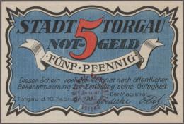 Deutschland - Notgeld - Sachsen: Torgau, Stadt, Dachdecker-Verbandstag 22./24. J - [11] Local Banknote Issues