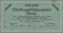 Deutschland - Notgeld - Sachsen-Anhalt: Düben A. D. Mulde, Stadt, 500 Tsd. Mark, - [11] Local Banknote Issues