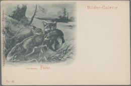 Thematics: Animals-foxes: 1897, MÜNCHEN COURIER, Ungebr. Bildpostkarte Mit Aufge - Autres