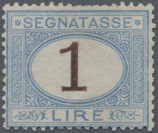 Italy - Postage Dues: 1870, 1 L Blue/brown Postage Due, Mint Without Gum, Short - Segnatasse