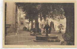 D 83. COTIGNAC.  FONTAINE DE LA PLACE - Cotignac