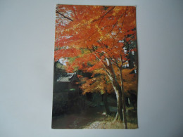 JAPAN POSTCARDS  SANZEN TEMPLE  MORE  PURHASES 10% DISCOUNT - Otros & Sin Clasificación