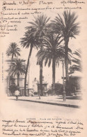 83 / HYERES / PLACE DES PALMIERS / PRECURSEUR BOUGAULT - Hyeres