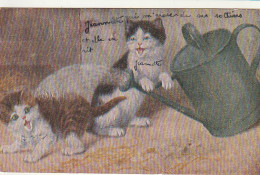 *** CHAT  *** CHATS CHATONS  --   Illustrateur Chats Arrosoir --  TTB écrite  - Cats