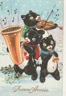 *** CHAT  *** CHATS CHATONS  --par Illustrateur Chats Humanisés Musique Musiciens écrite TTB Pas N° - Chats