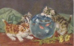*** CHAT  *** CHATS CHATONS  - Illustrateur Chatons Aquarium N° 164 - Timbrée TTB  - Cats