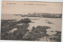 LE POULDU  PLAGE DE PORT CASTEL - Le Pouldu
