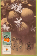 Ad3236 - ISRAEL - Postal History - MAXIMUM CARD -  1956 FRUITS Citrus - Maximumkaarten
