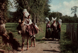 CPM - ÂNE - Folklore Normand "En Revenant De La Traite" ... Edition Artaud - Burros