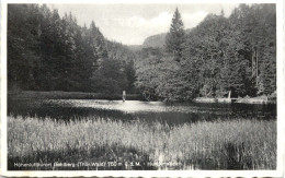 Gehlberg - Hungertalteich - Suhl