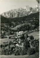 GOSALDO BELLUNO Panorama Con La Croda Grande - Belluno