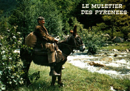 CPM - ÂNE - Le Muletier Des PYRÉNÉES Mi-Berger Mi-Contrebandier ... Edition Thouand - Ezels