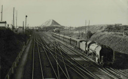 Train à Identifier - Cliché Jacques H. Renaud - Trains