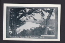 1/2 P. Bild-Ganzsache "Umzimkulu River Port Shepstone" - Ungebraucht - Storia Postale