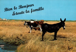 CPSM - ÂNE - Carte Humour ... Edition F.Chapeau - Donkeys