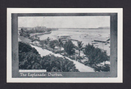 1/2 P. Bild-Ganzsache "The Esplamade Durban" - Ungebraucht - Briefe U. Dokumente