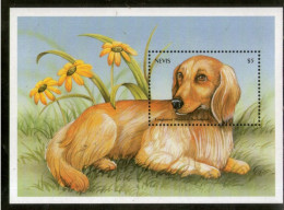 Nevis 2000 Dachshund Dogs Pet Animals Sc 1204 M/s MNH # 5868 - Hunde