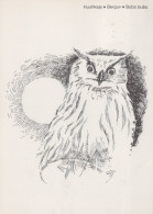 VOGEL Tier Vintage Ansichtskarte Postkarte CPSM #PAN261.A - Vögel