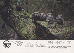 OISEAU Animaux Vintage Carte Postale CPSM #PAN265.A - Birds