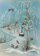 OISEAU Animaux Vintage Carte Postale CPSM #PAM764.A - Birds