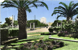 CASABLANCA  Boulevard Moulay Youssef Colorisée RV Timbre 20F - Casablanca