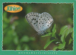 BUTTERFLIES Animals Vintage Postcard CPSM #PBS435.A - Papillons