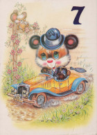 NASCERE Animale Vintage Cartolina CPSM #PBS172.A - Osos