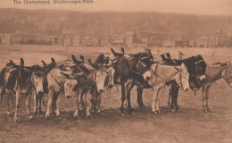 BURRO Animales Niños Vintage Antiguo CPA Tarjeta Postal #PAA344.A - Donkeys