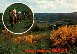 CPM - CHEVAL - Promenade En MORVAN ... Editions Nivernaises - Chevaux